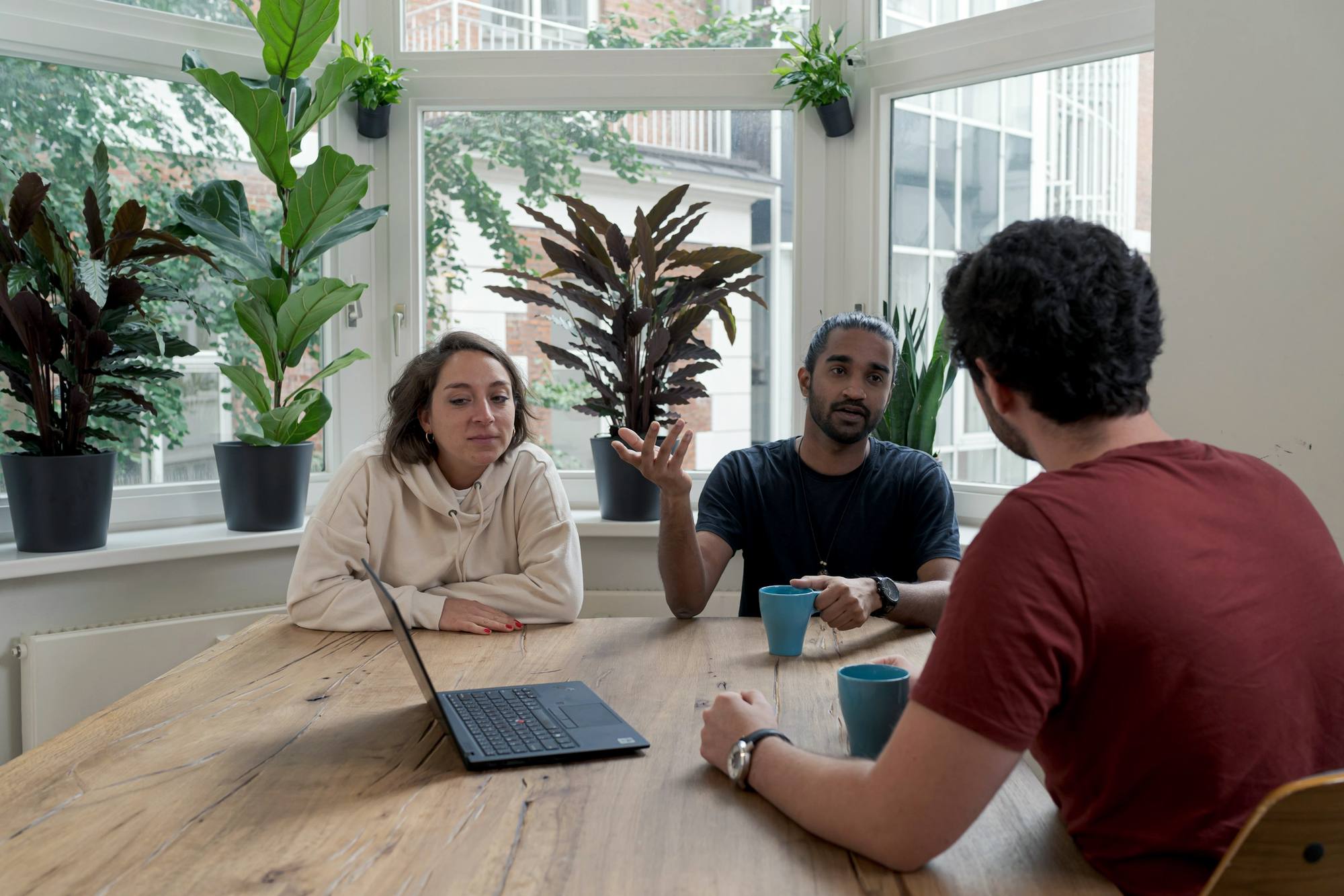 Three colleagues talking around a wooden table in a bright room full of plants